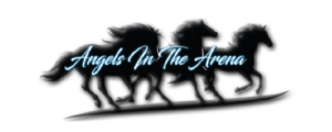 Angels in the Arena