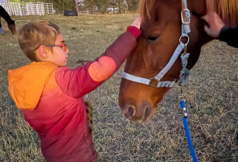 a boy petting a horse
